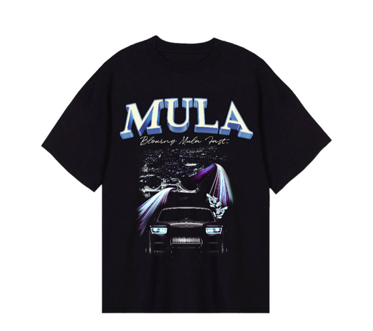 Blowing Mula Fast Heavyweight Jersey